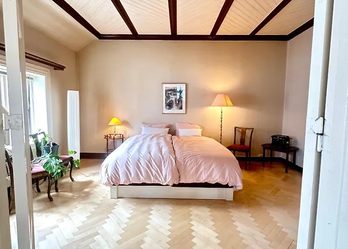 Authenic Art Nouveau Apartment In The City-Center