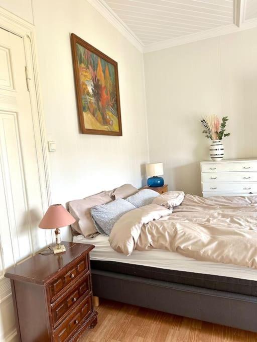 Authenic Art Nouveau In The City-center Apartment *
